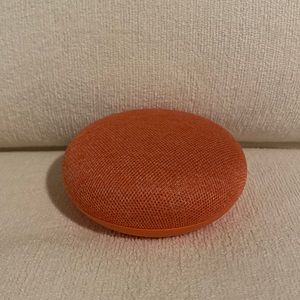 Google Nest Mini Coral